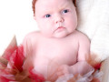 Halle_Rose Baby Photograph