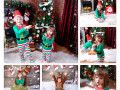Collage 2
