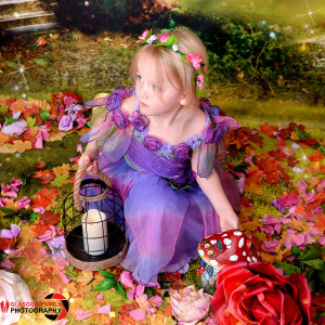 Fairy Photograph