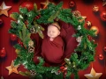 glasgow christmas photography newborn  wreath red