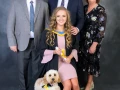 family photography glasgow studio dog